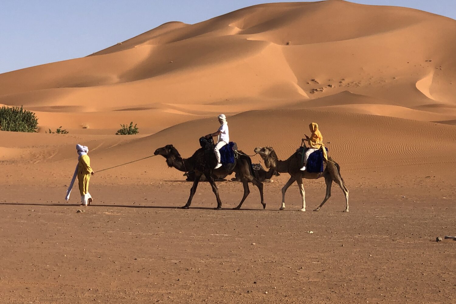 4 days tour from Errachidia to Desert and Fes
