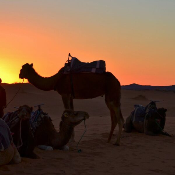 4 days desert tour from Fes to Marrakech