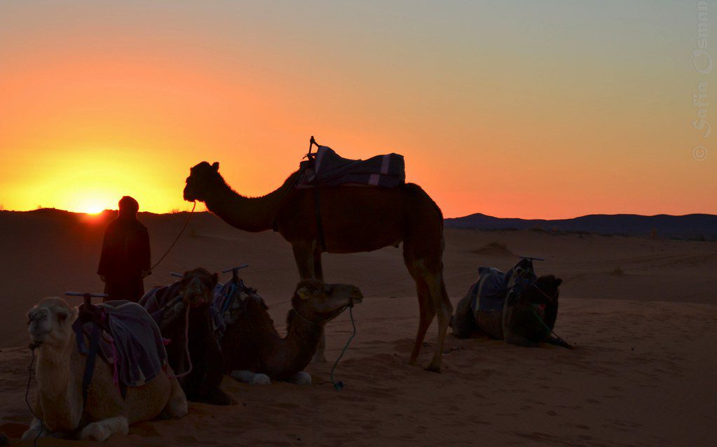 4 days desert tour from Fes to Marrakech