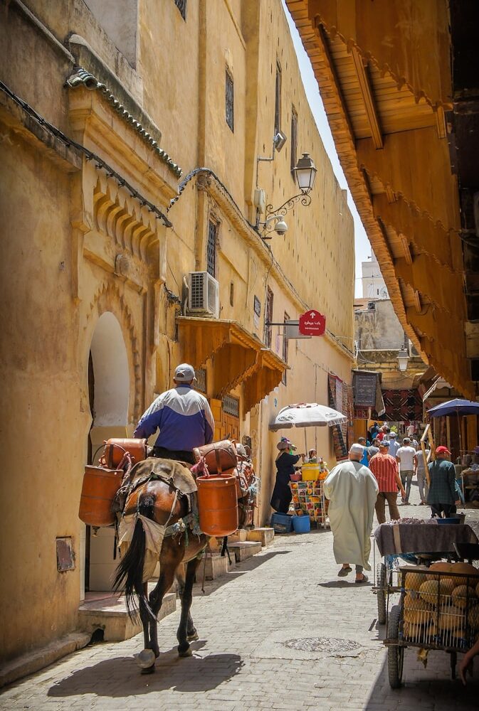 man riding horse on road