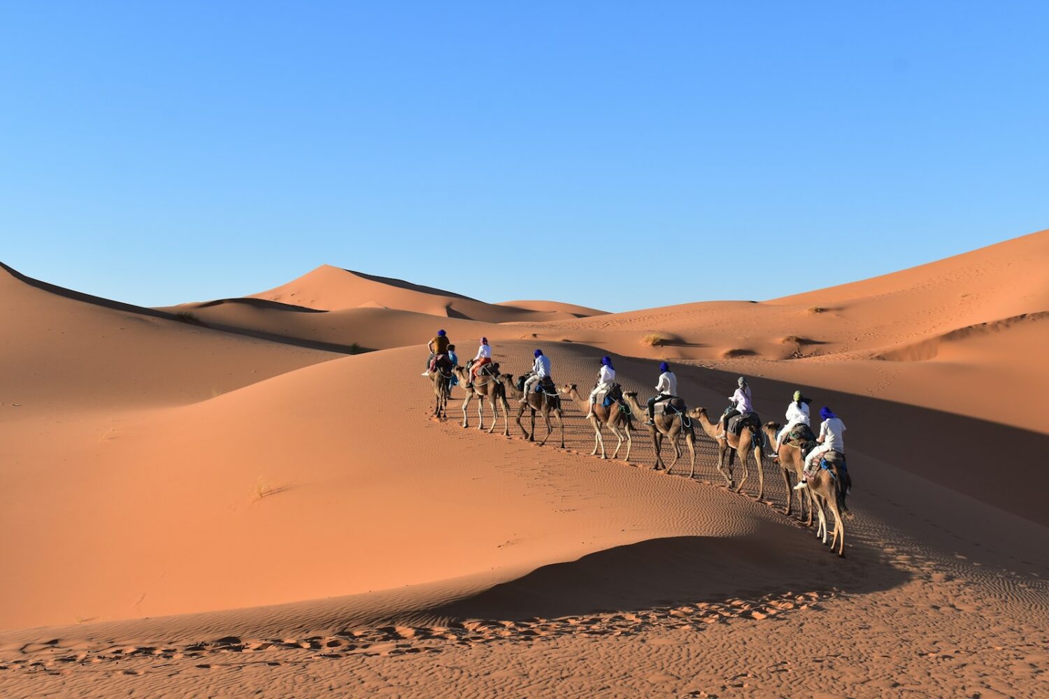 a group of people riding camels in the desert with Sahara in the background
