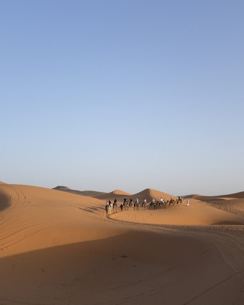 A group of people riding camels across a desert