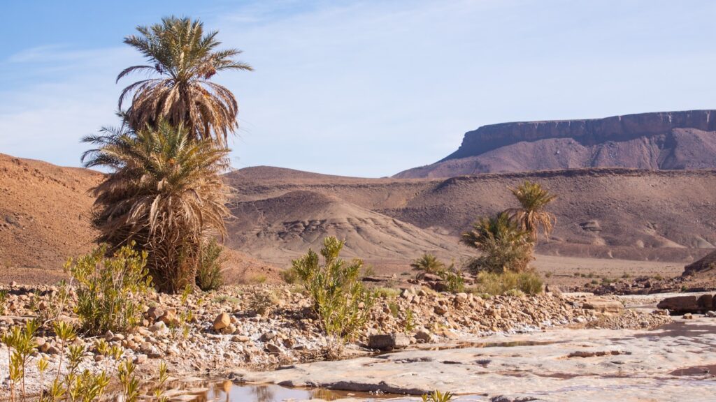 5 days tour from Fes to Marrakech