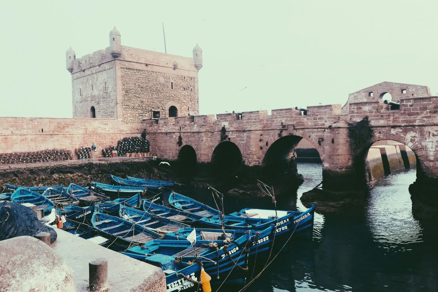 blue boats on dock during daytime