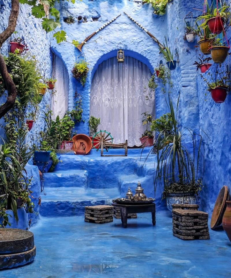 a blue alley with potted plants and a bench