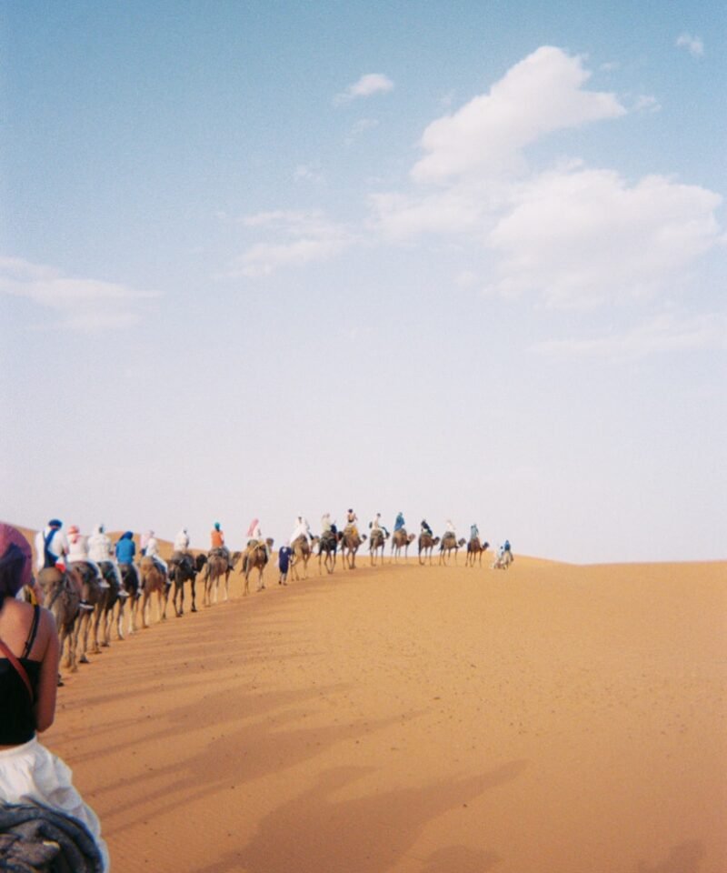A group of people riding camels across a desert
