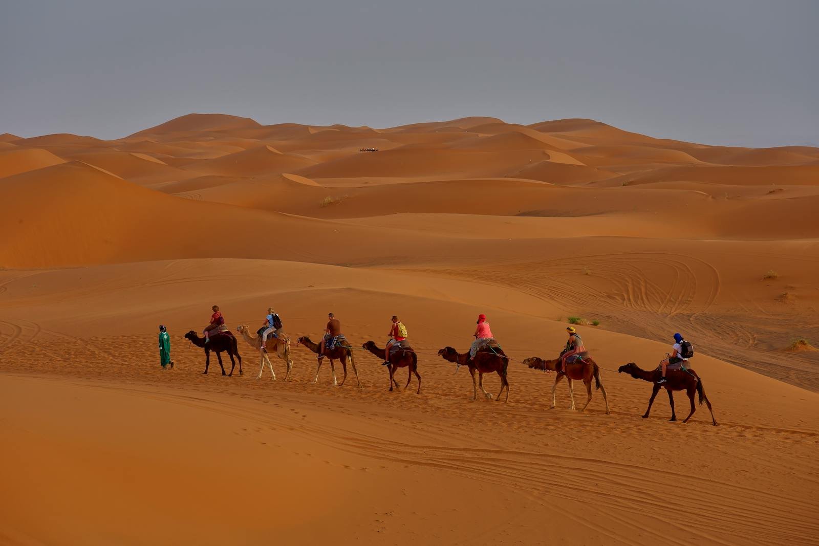 Camel trek at sunset in the Sahara Desert, Morocco – Morocco Trips Itinerary"