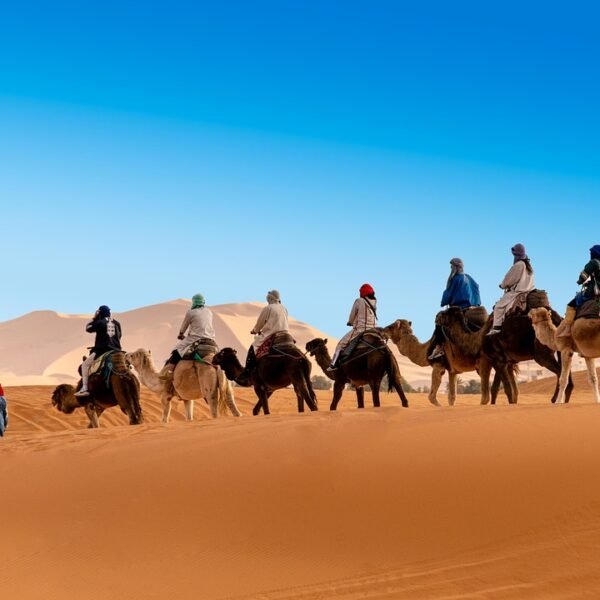 desert, the sand dunes, caravan, camel, berber, morocco, sahara, landscape, africa, sand, hot, nature, adventure, dune, drought, sky, peace of mind, marroc, travels, tourism, mood, erg chebbi, merzouga, camel, morocco itnerary morocco, morocco private tours from errachidia