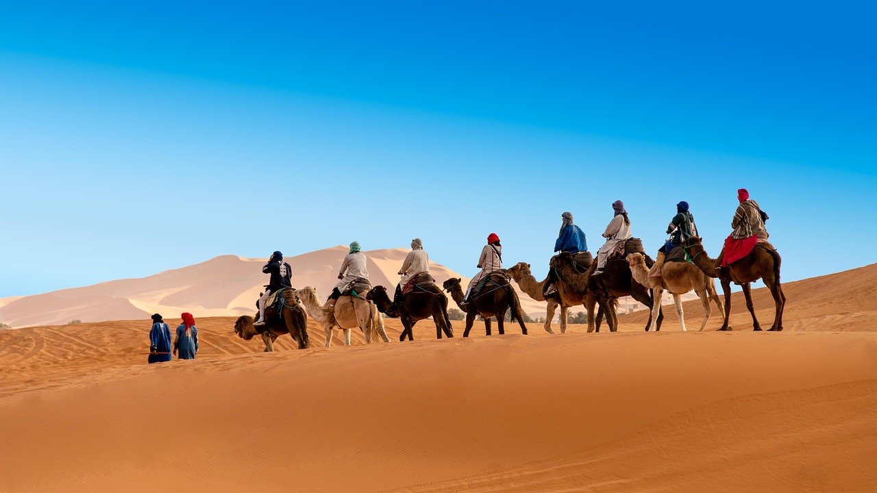 desert, the sand dunes, caravan, camel, berber, morocco, sahara, landscape, africa, sand, hot, nature, adventure, dune, drought, sky, peace of mind, marroc, travels, tourism, mood, erg chebbi, merzouga, camel, morocco itnerary morocco, morocco private tours from errachidia