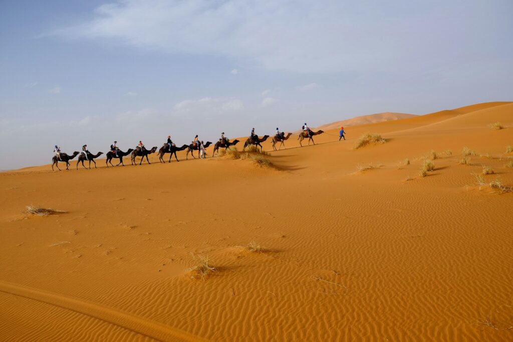 Sahara Desert camel trek in Merzouga on a Best Morocco Tours 12 day morocco itinerary