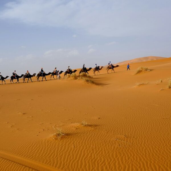Sahara Desert camel trek in Merzouga on a Best Morocco Tours 12 day morocco itinerary