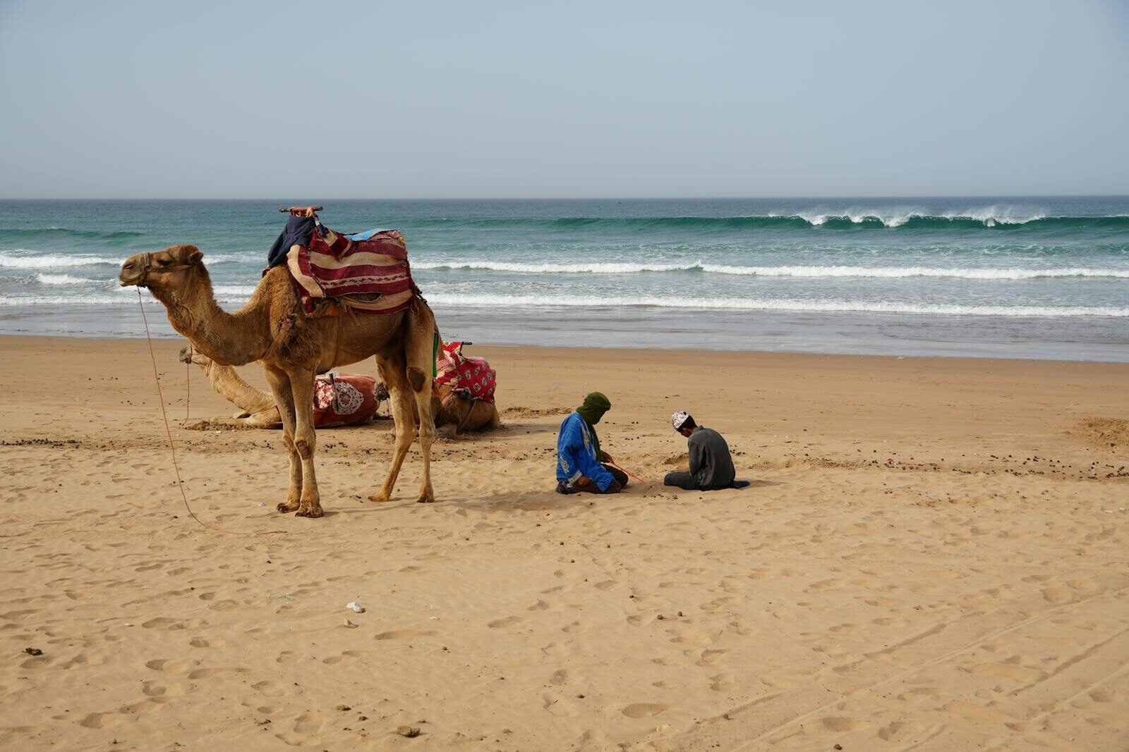 A scenic beach in Agadir, Morocco with camels and people by the ocean. Perfect vacation spot tours from agadir